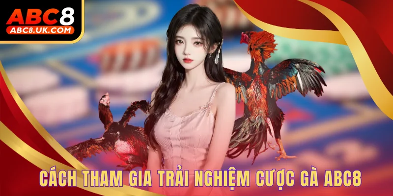 Cách tham gia trải nghiệm cược gà ABC8